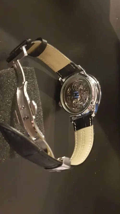 Pagani Design Skeleton watch