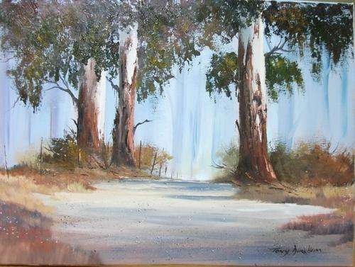 TONY DURRHEIM - ....MEDIUM SIZE ,,, R1. START,,,,!!!!!!