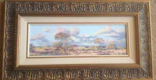 Francois Badenhorst.....crazzzzy r1 start........,,!!!!