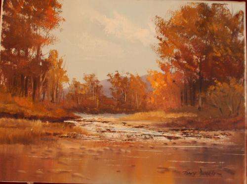 TONY DURRHEIM - .....R1 START,,,,!!!!!!