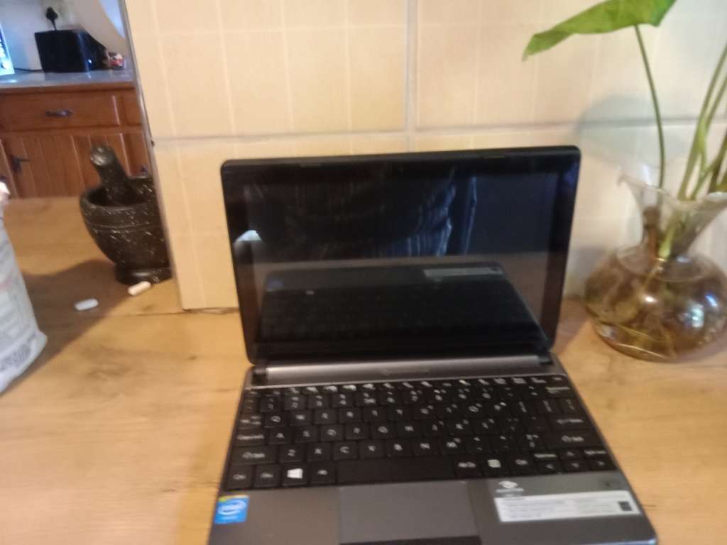 Packard Bell easynote touchscreen Mini laptop