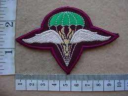 1 PARATROOPER BERET BADGE