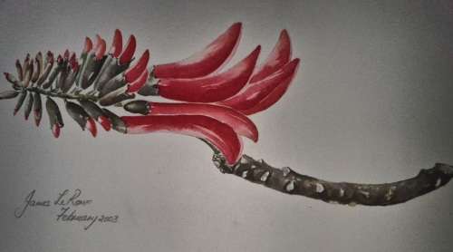 Original Water Colour Painting