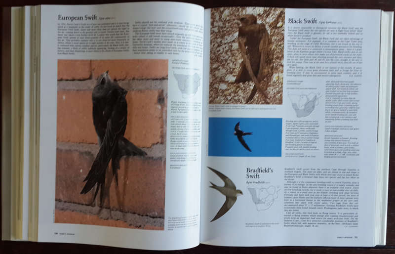 The complete book of Southern African birds - compiled by P.J. Ginn, W.G. McIlleron, and P. le S. Mi