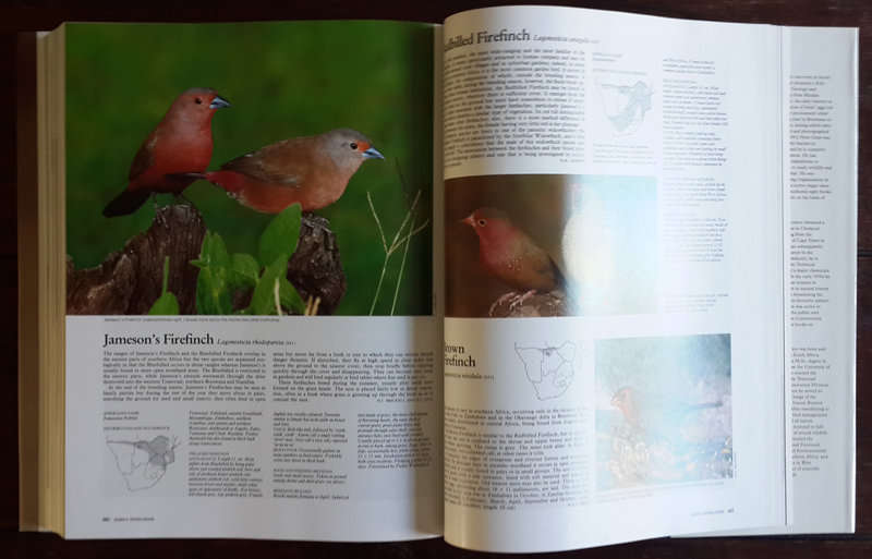The complete book of Southern African birds - compiled by P.J. Ginn, W.G. McIlleron, and P. le S. Mi