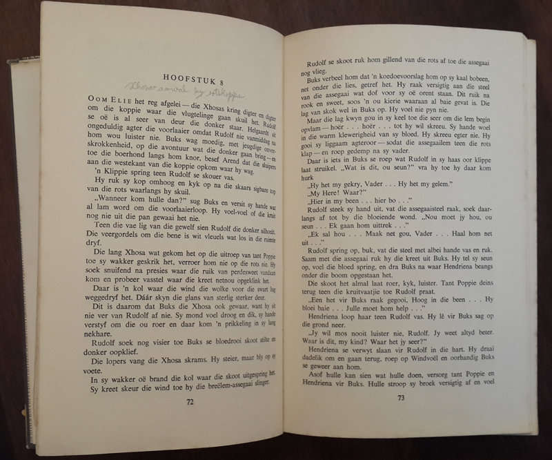 Geknelde Land  (F A Venter)