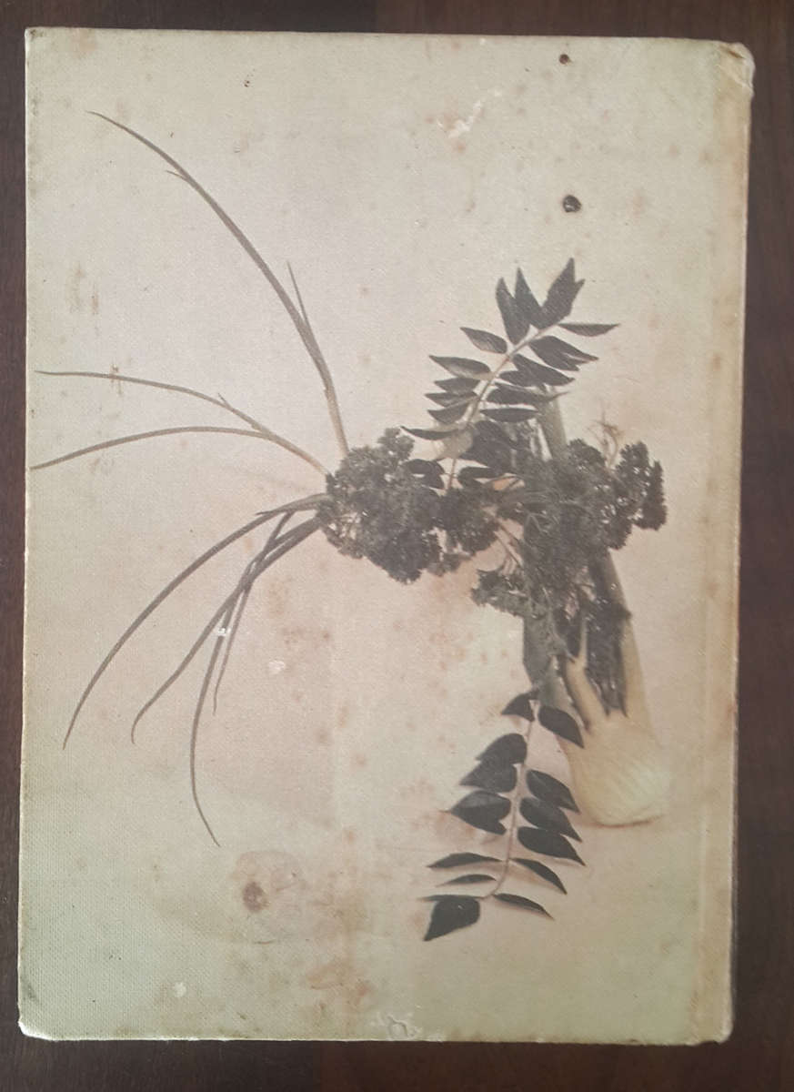 The Housewives League Cookery Book 1975-76  (Members of the Housewives League of South Africa)