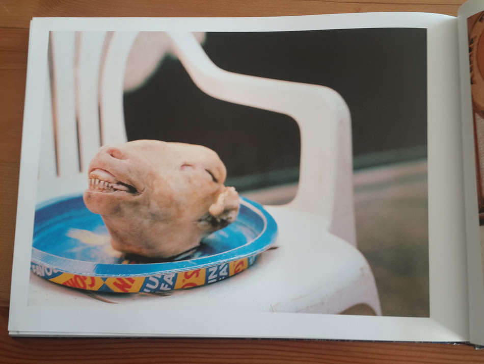 African Salad: A Portrait of South Africans at Home (Stan Engelbrecht and Tamsin de Beer)