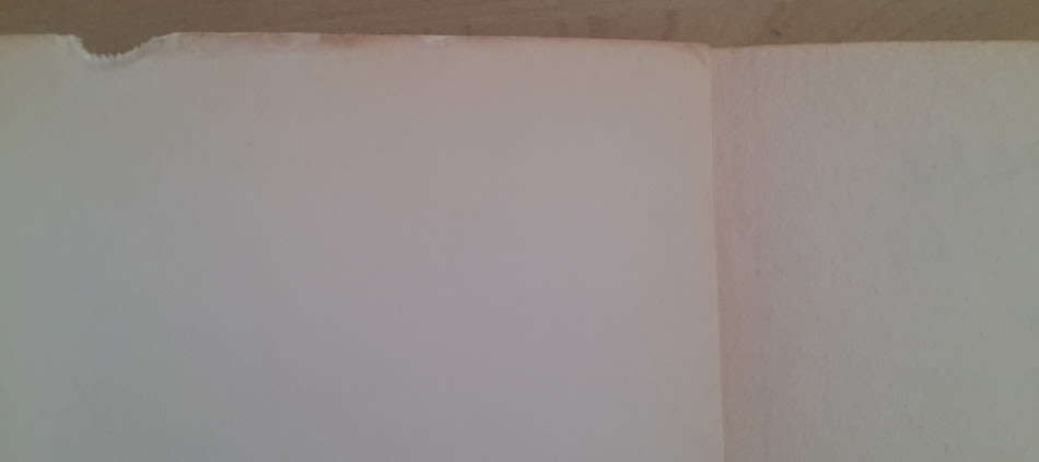 Sammy Marks: The Uncrowned King of the Transvaal (Richard Mendelsohn)