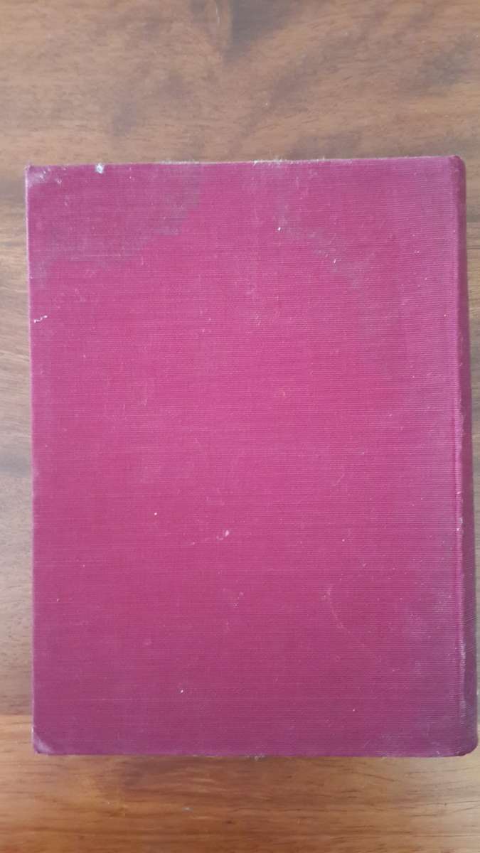 The Blue Lizard - Napier Devitt