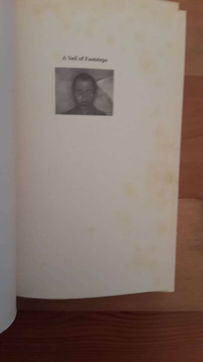 A Veil of Footsteps (Breyten Breytenbach)