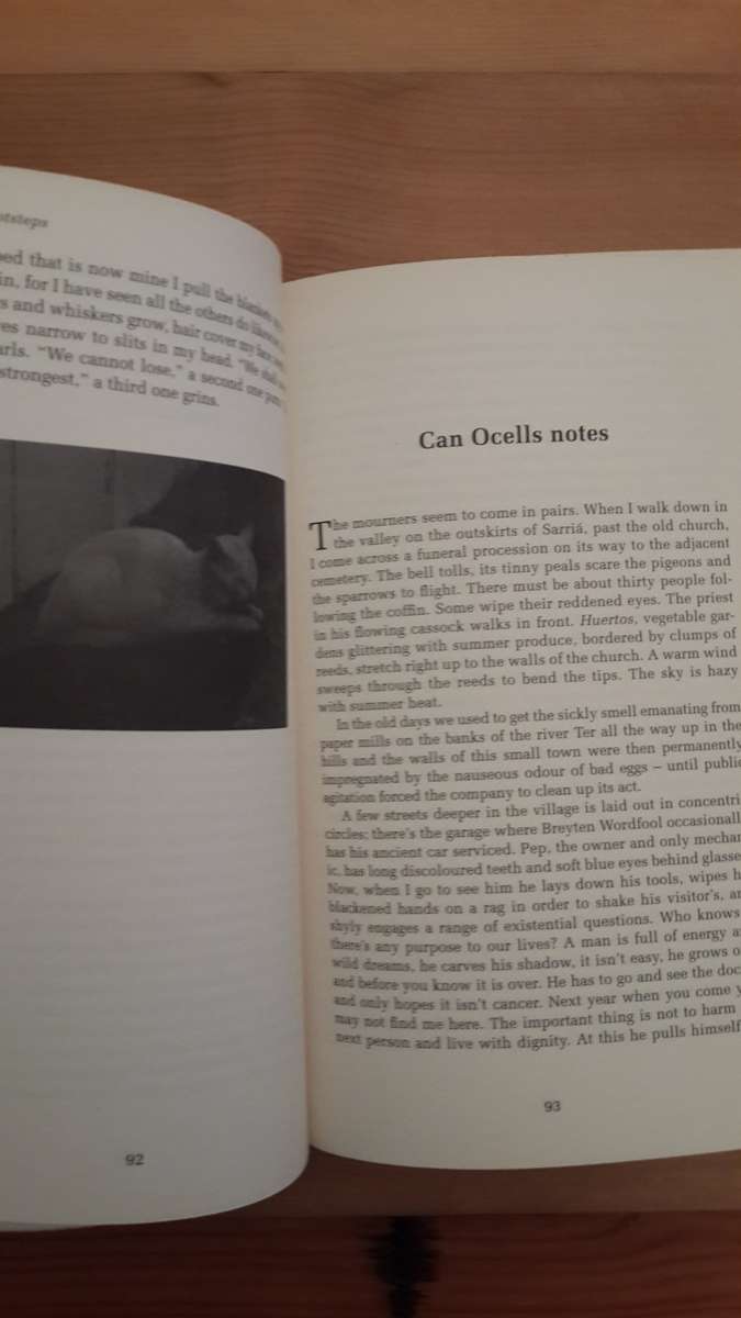 A Veil of Footsteps (Breyten Breytenbach)