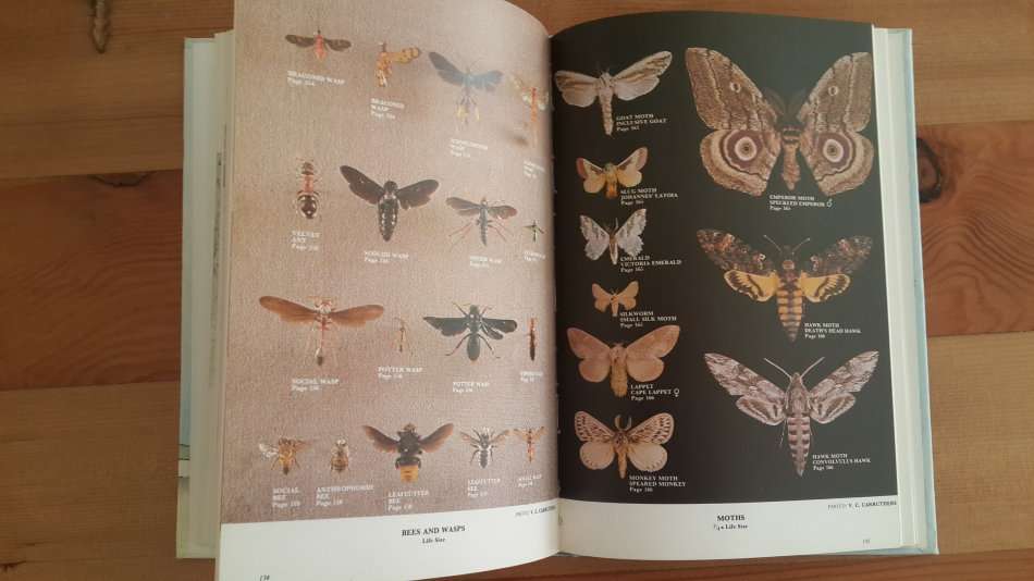 The Sandton field book: A guide to the natural history of the northern Witwatersrand