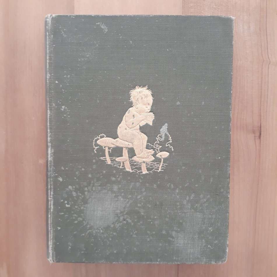 Peter Pan in Kensington Gardens