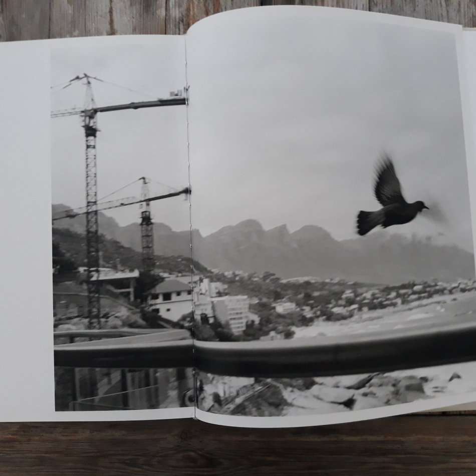 Images of Table Mountain (David Lurie)