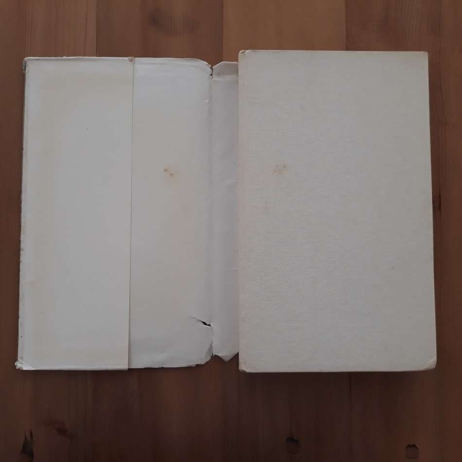 Orgie  (Andre P Brink)