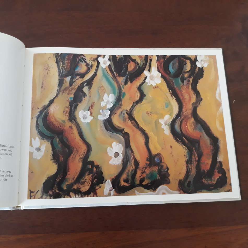 Reconciliation Versoening (Frans Claerhout)