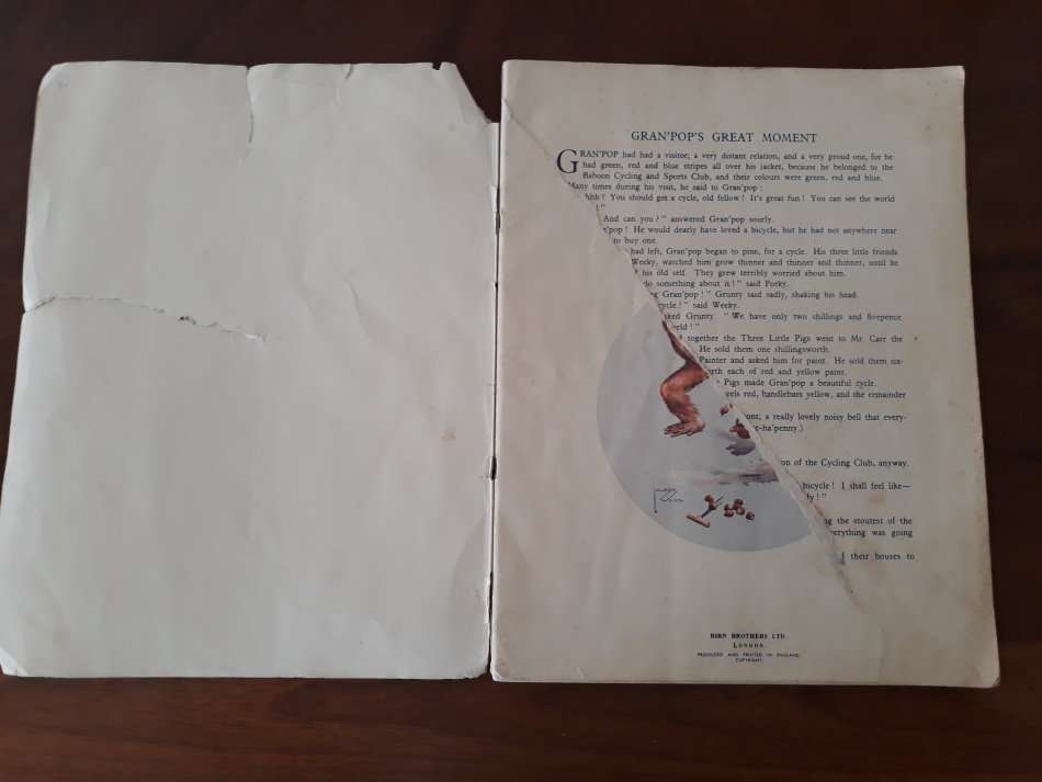 A Bedtime Picture Book (Lawson Wood)