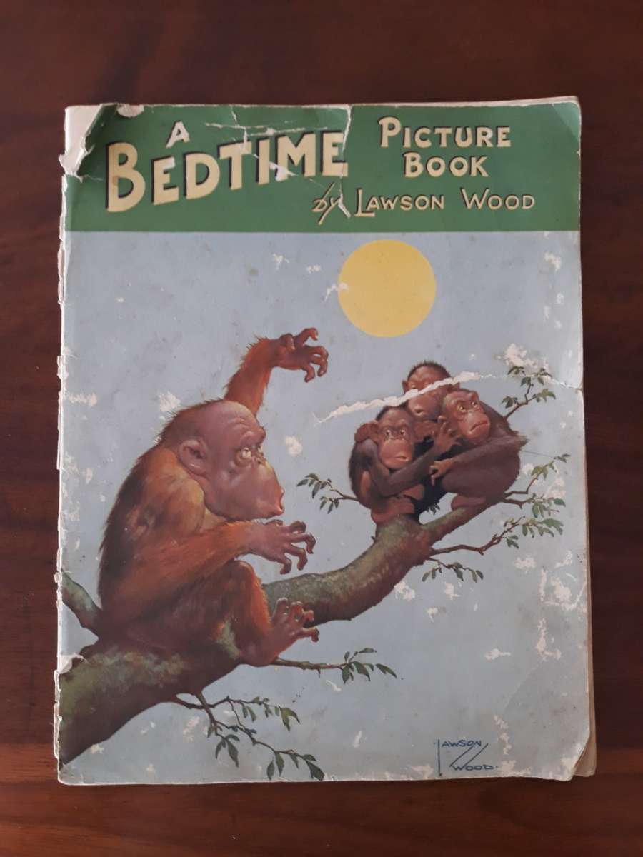 A Bedtime Picture Book (Lawson Wood)