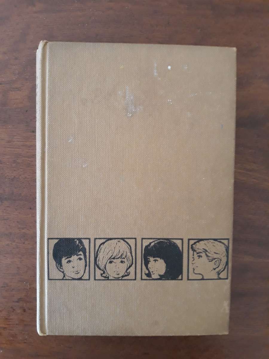 The Bobbsey twins at Indian Hollow (Laura Lee Hope)