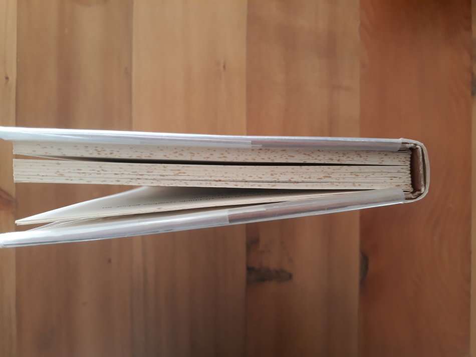 Lobola Vir Die Lewe (Andre P Brink)