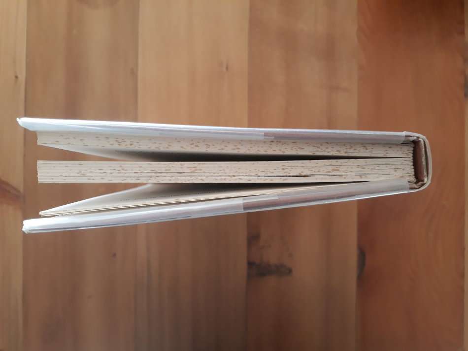 Lobola Vir Die Lewe (Andre P Brink)