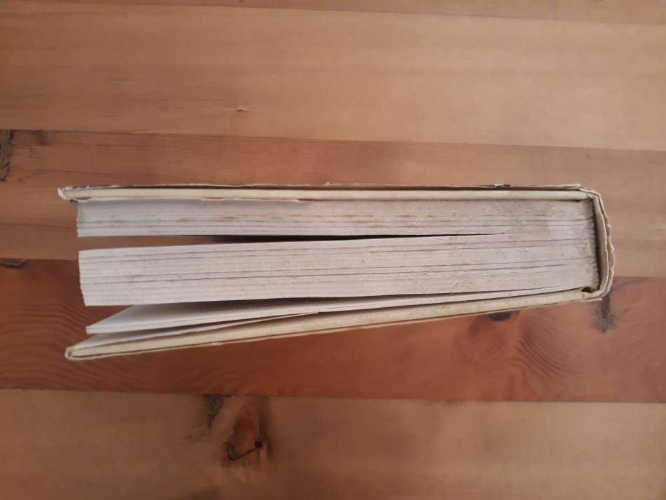 The Leopard (Peter Turnbull-Kemp)