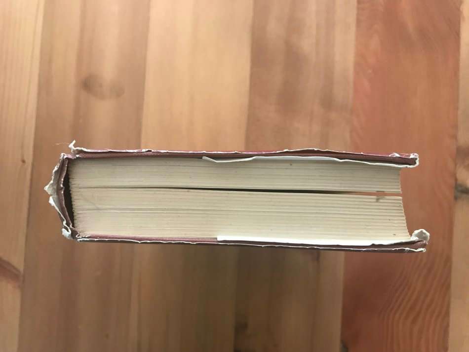 Piket Teen 'n Berg : Die Geskiedenis van Piketberg 1660-1970 (W A Burger)