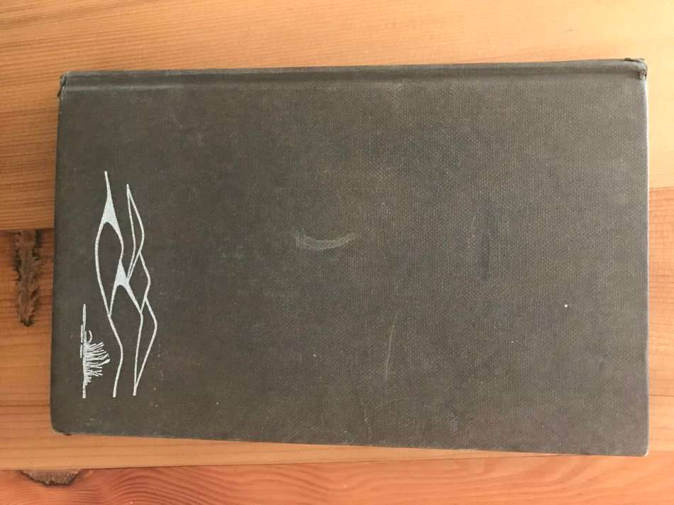 Vlug in die Namib (Henno Martin)