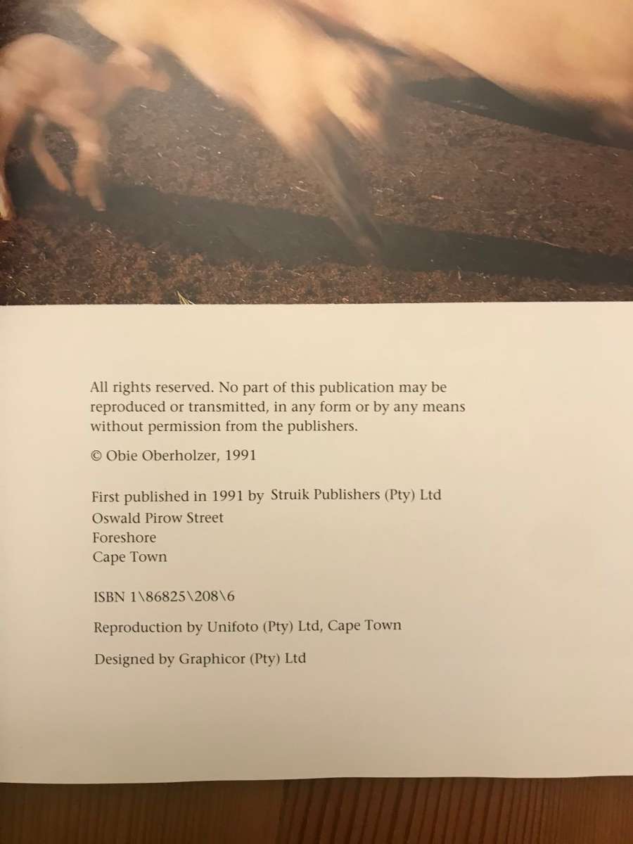 To Hell 'n Gone - Obie Oberholzer