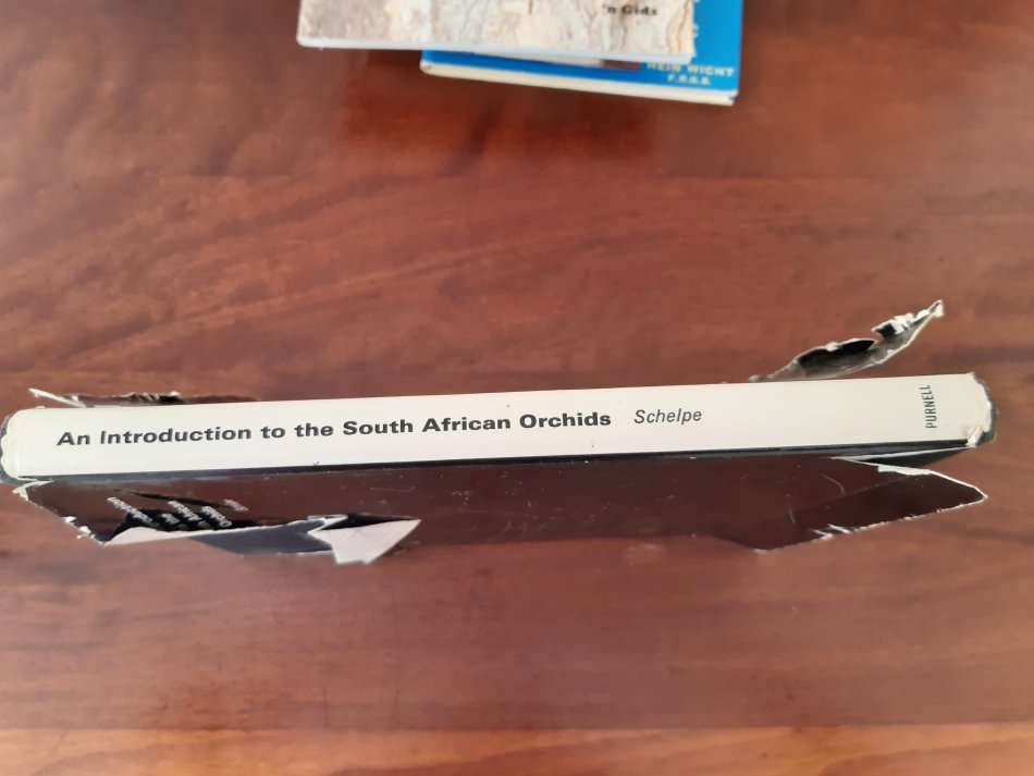 An introduction to South African orchids