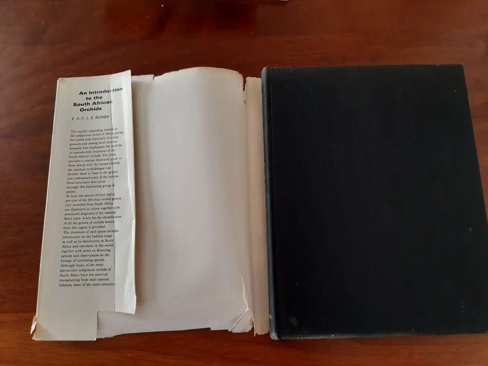 An introduction to South African orchids