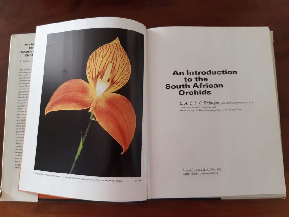An introduction to South African orchids