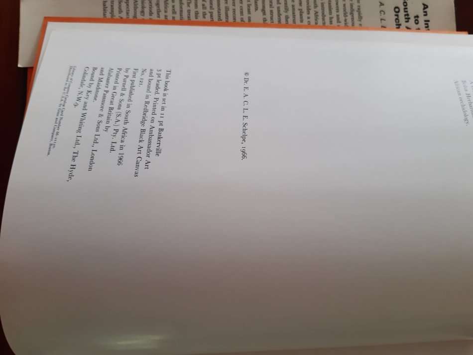 An introduction to South African orchids