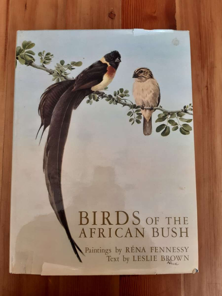 Birds of the African Bush