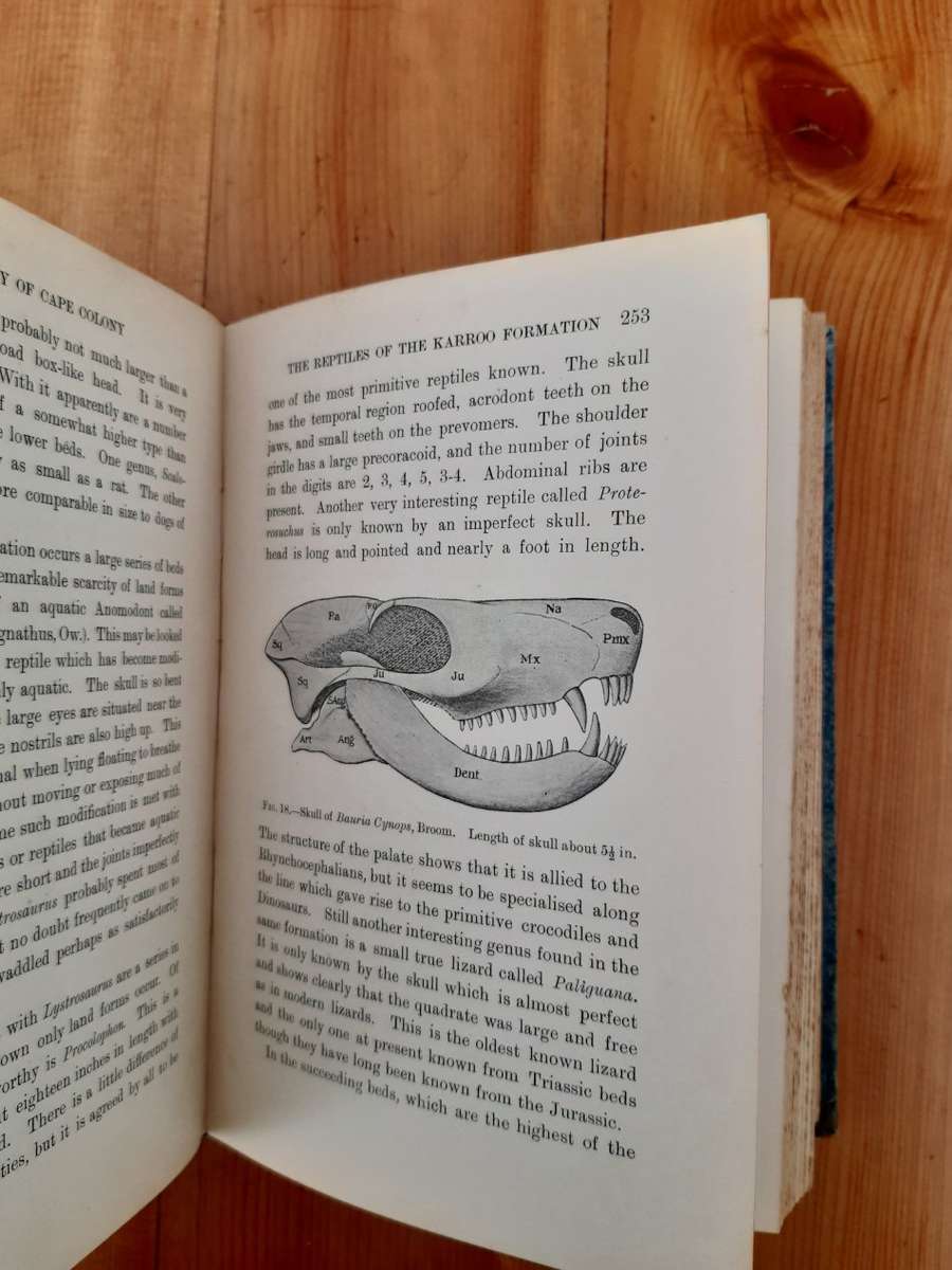 An Introduction to the Geology of Cape Colony (1909)