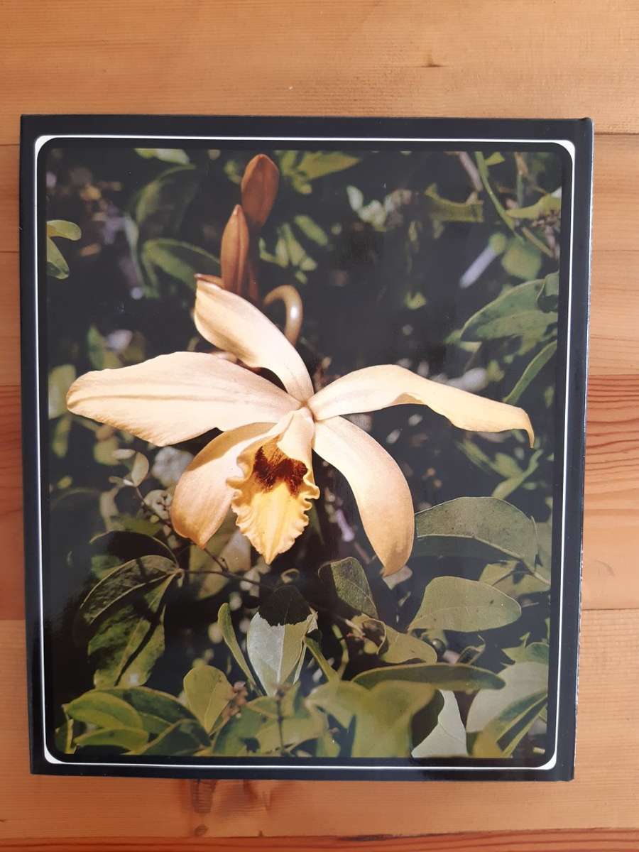 Orchids of Tropical Africa - Joyce Stewart