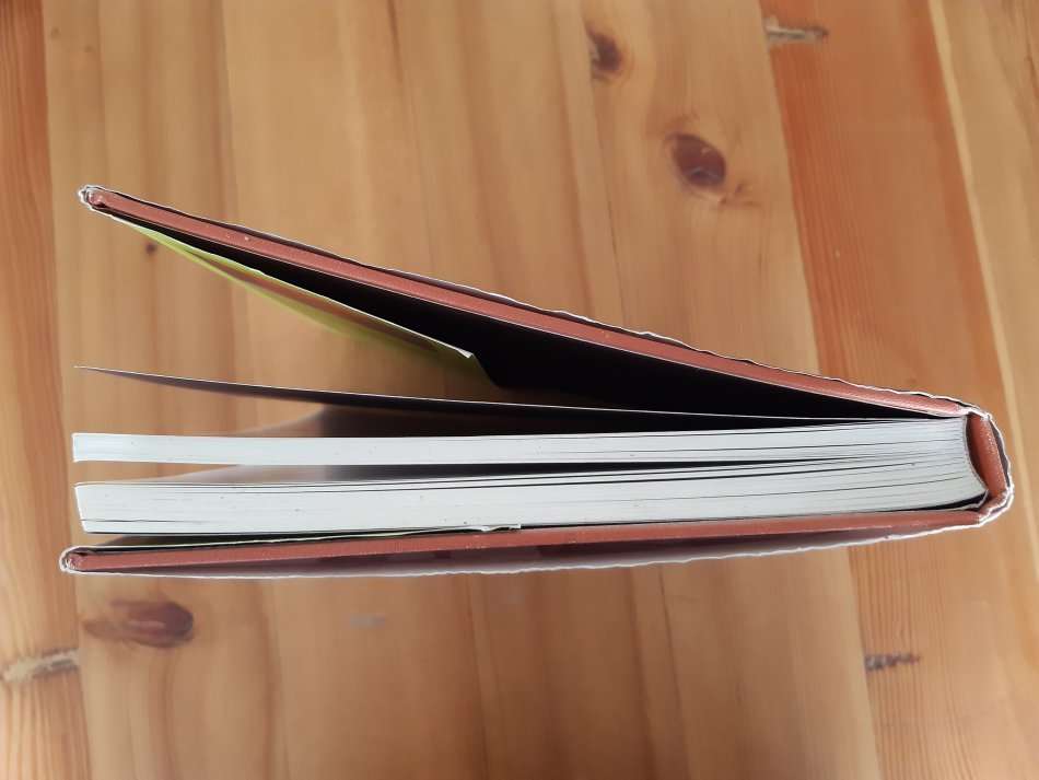 This is my world: The life of Helen Martins, creator of the Owl House