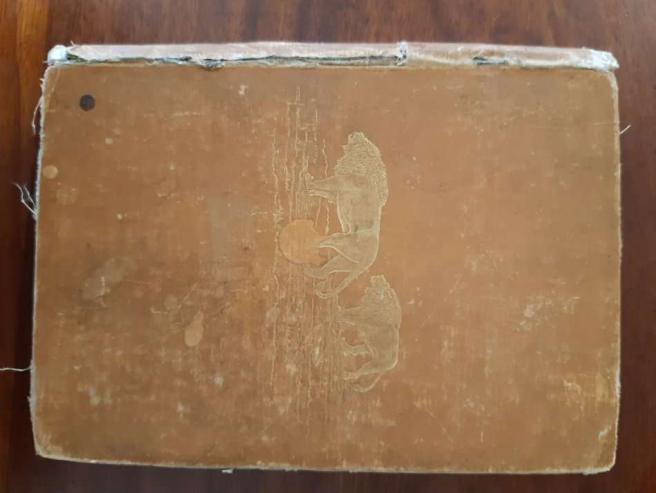 Travel and Adventure in South-East Africa - Frederick Courteney Selous