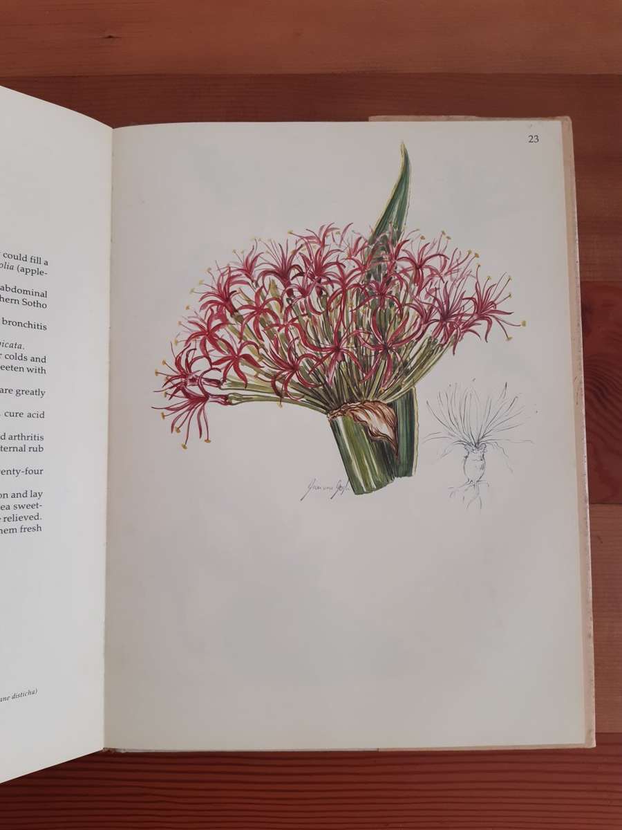 Margaret Roberts' Book of Herbs. The medicinal and culinary uses of herbs in South Africa