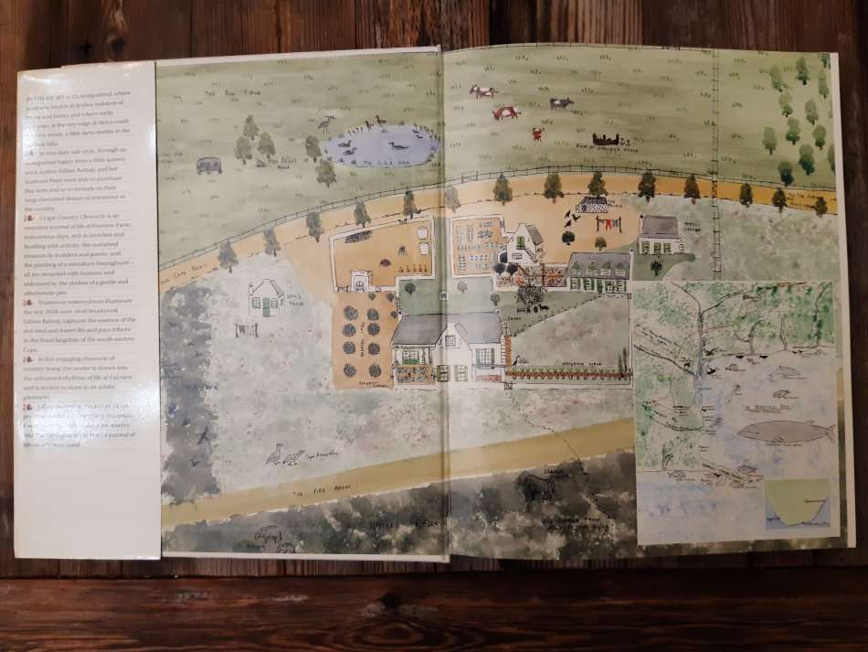 A Cape Country Chronicle - Gillian Rattray