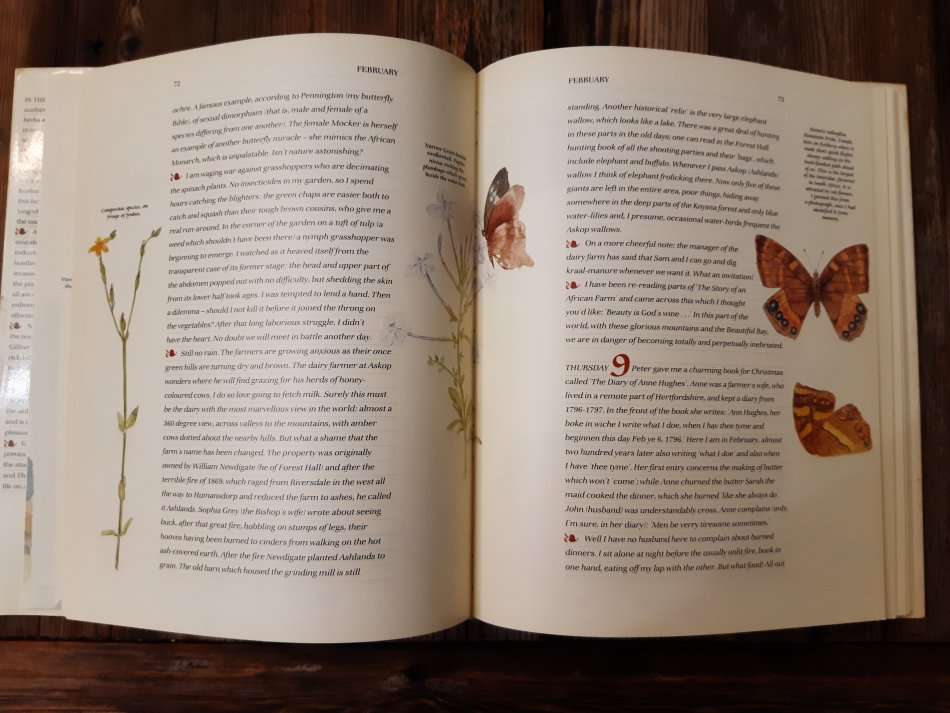 A Cape Country Chronicle - Gillian Rattray