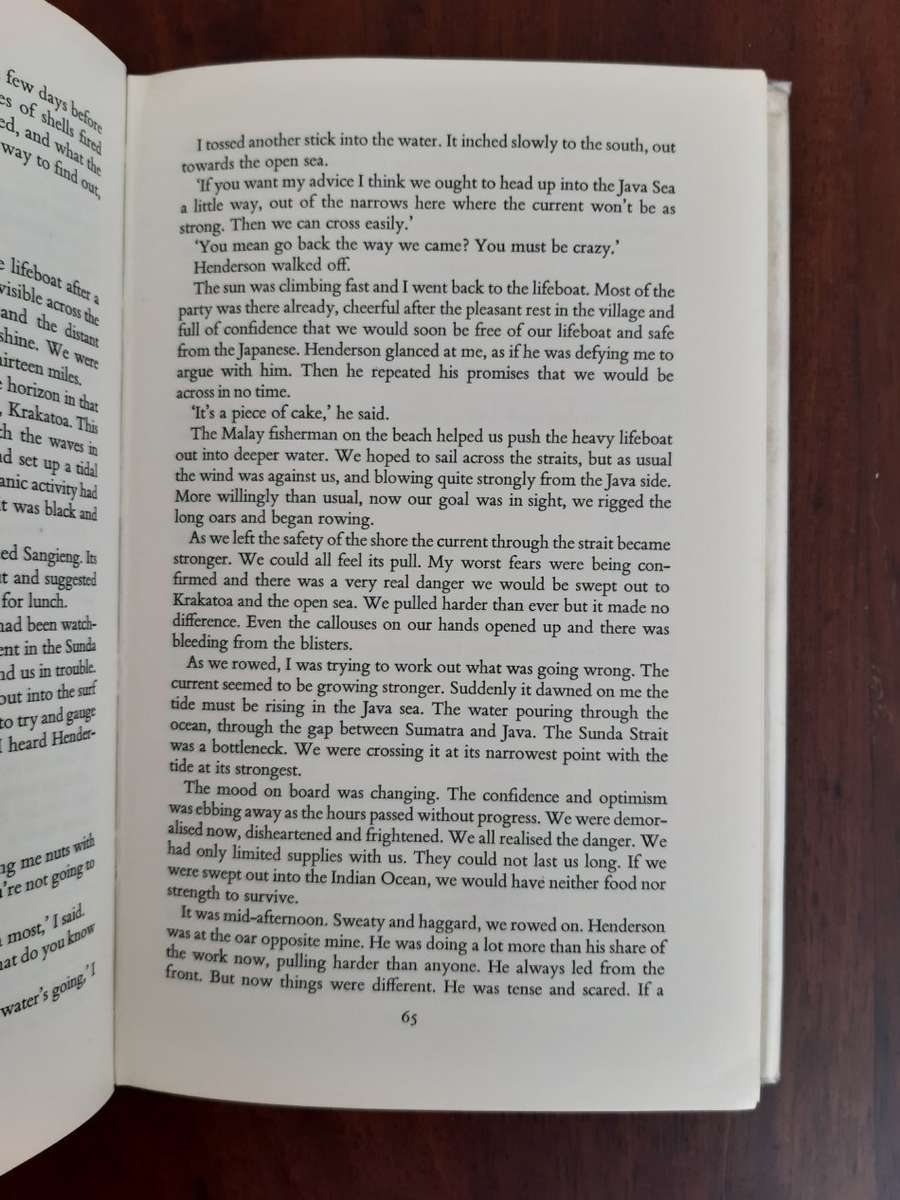 Pigeon's Luck - Tretchikoff