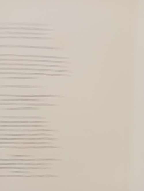 The Art of Botanical Illustration: The Classic Illustrators and Their Achievements from 1550 to 1900