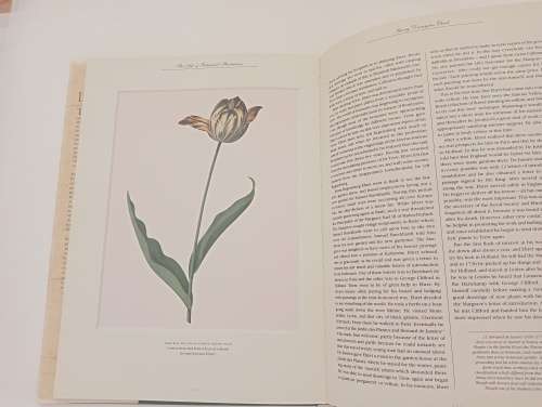 The Art of Botanical Illustration: The Classic Illustrators and Their Achievements from 1550 to 1900