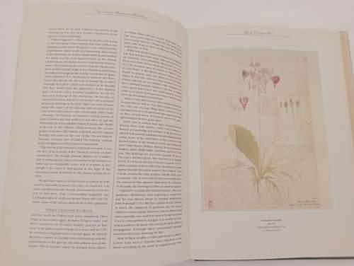 The Art of Botanical Illustration: The Classic Illustrators and Their Achievements from 1550 to 1900