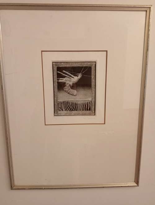 Pippa Ann Skotnes - UNTITLED