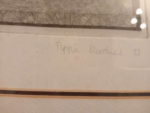 Pippa Ann Skotnes - UNTITLED