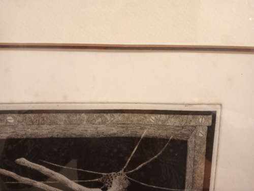 Pippa Ann Skotnes - UNTITLED