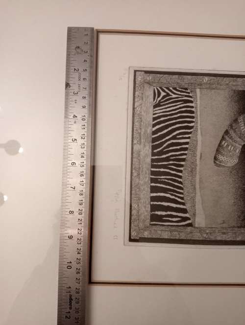 Pippa Ann Skotnes - UNTITLED